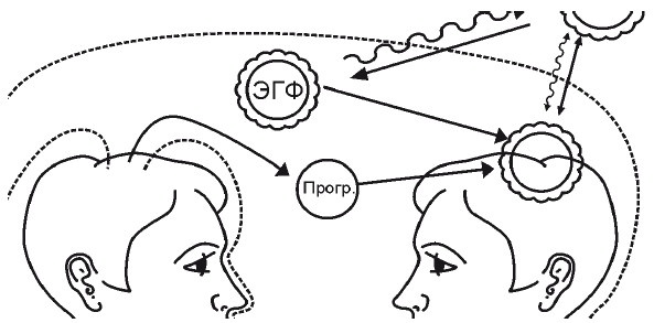 Иллюстрация к книге — Эгрегоры человеческого мира. Логика и навыки взаимодействия [i_089.jpg]