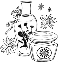 Иллюстрация к книге — 14, 15, 16! Все о любви и красоте для девочек [i_045.jpg]