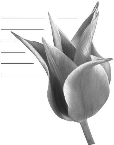 Иллюстрация к книге — Сотвори свое будущее. Как силой мысли изменить судьбу [Autogen_eBook_id32.jpg]