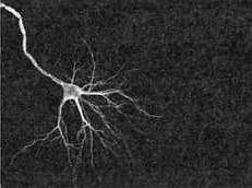 Иллюстрация к книге — 2012. Время великих перемен [_11.jpg]