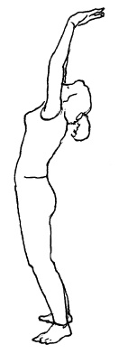 Иллюстрация к книге — Аюрведа и йога для женщин [i_017.jpg]