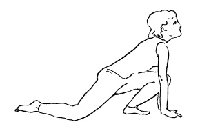 Иллюстрация к книге — Аюрведа и йога для женщин [i_019.jpg]