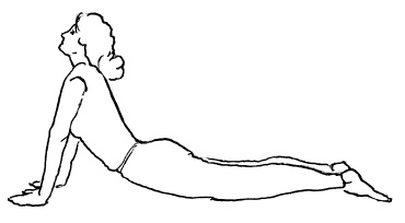 Иллюстрация к книге — Аюрведа и йога для женщин [i_021.jpg]