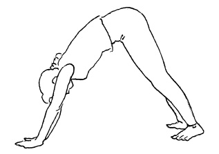 Иллюстрация к книге — Аюрведа и йога для женщин [i_024.jpg]