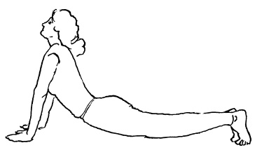 Иллюстрация к книге — Аюрведа и йога для женщин [i_026.jpg]