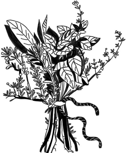 Иллюстрация к книге — Тайна ведьмы Урсулы [_030.jpg]