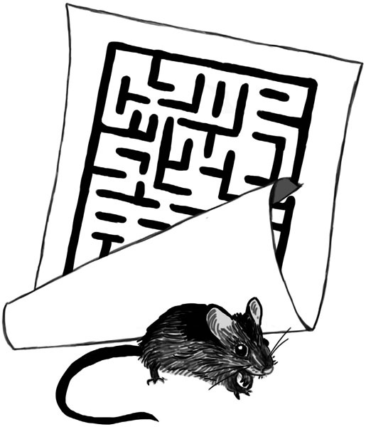 Иллюстрация к книге — Тайна ведьмы Урсулы [_057.jpg]