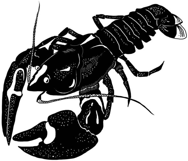 Иллюстрация к книге — Тайна ведьмы Урсулы [_119.jpg]