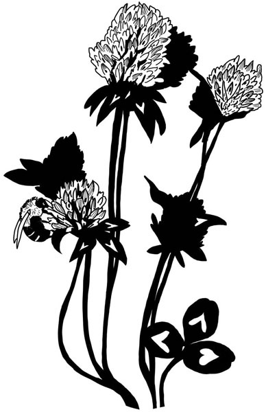 Иллюстрация к книге — Тайна ведьмы Урсулы [_120.jpg]