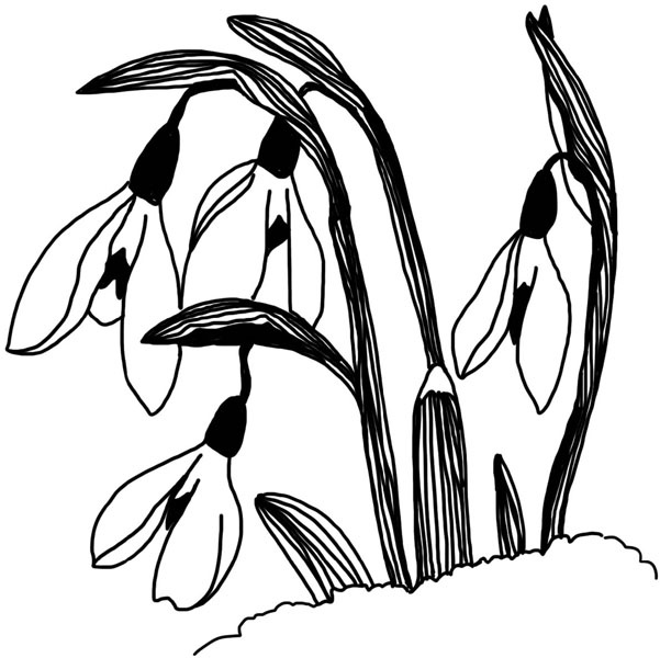 Иллюстрация к книге — Тайна ведьмы Урсулы [_162.jpg]