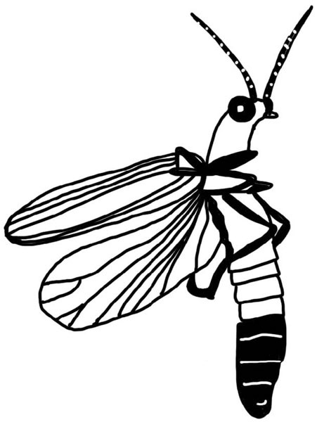 Иллюстрация к книге — Тайна ведьмы Урсулы [_180.jpg]