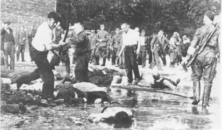 Иллюстрация к книге — Прибалтика. Война без правил (1939-1945) [i_013.jpg]