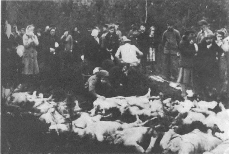 Иллюстрация к книге — Прибалтика. Война без правил (1939-1945) [i_050.jpg]