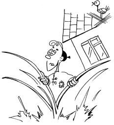 Иллюстрация к книге — Не откладывай мечту на завтра. Пробуждающий курс [i_003.jpg]