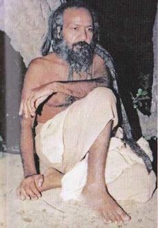 Иллюстрация к книге — Путешествие домой. Автобиография американского йога [img4AF9.jpg]