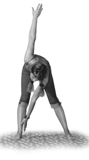 Иллюстрация к книге — 365 шагов к стройности. Циклическая программа «Идеальный вес» [i_034.jpg]