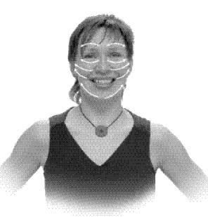 Иллюстрация к книге — Большая книга лифтинг-гимнастики. Лучшие упражнения для молодости и стройности [i_015.jpg]