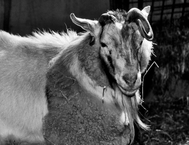 Иллюстрация к книге — Тайны человека [i_013.jpg]