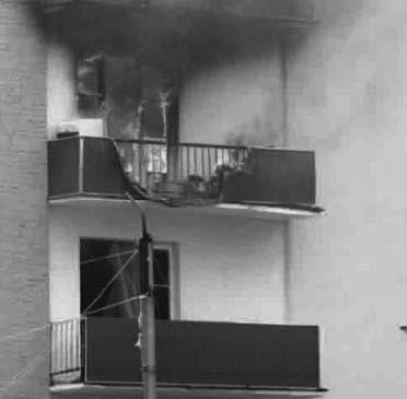 Иллюстрация к книге — Я, президент и чемпион мира [_295_5.jpg]