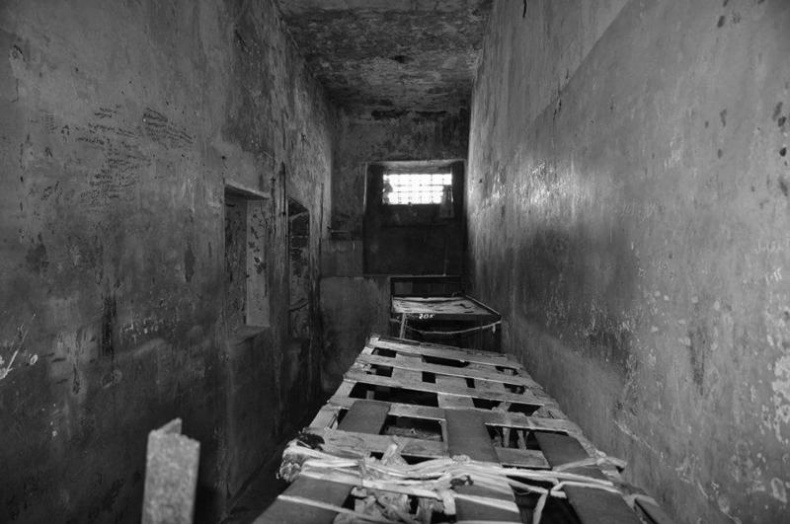 Иллюстрация к книге — Я, президент и чемпион мира [_335.jpg]