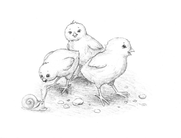 Иллюстрация к книге — Пони Милочка и самое лучшее лето [i_011.jpg]