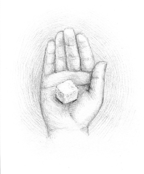 Иллюстрация к книге — Пони Милочка и самое лучшее лето [i_014.jpg]