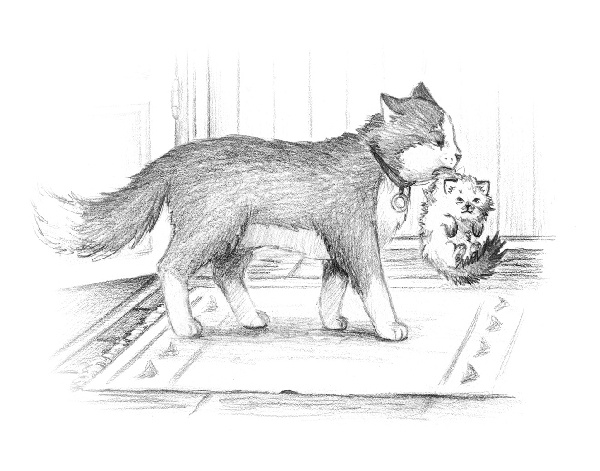 Иллюстрация к книге — Пони Милочка и самое лучшее лето [i_027.jpg]