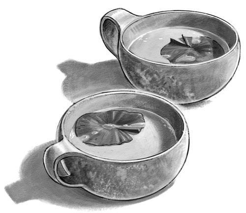 Иллюстрация к книге — Страна Сказок. Заклинание желаний [i_006.jpg]