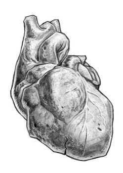 Иллюстрация к книге — Страна Сказок. Заклинание желаний [i_021.jpg]