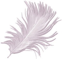 Иллюстрация к книге — Ангелы Соломона. Неповторимый опыт истинной Божественной любви [i_002.jpg]