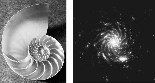 Иллюстрация к книге — Ангелы Соломона. Неповторимый опыт истинной Божественной любви [i_008.jpg]