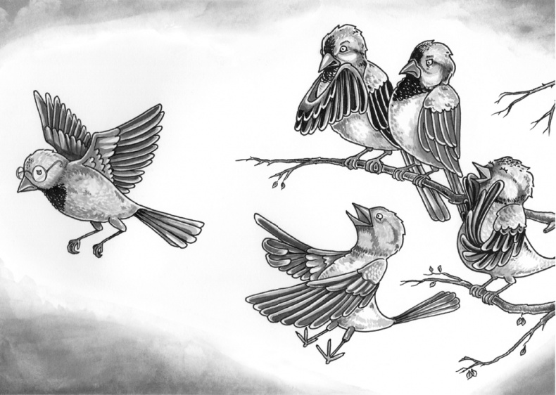 Иллюстрация к книге — Зачем нам стыд? Человек vs. общество [i_005.jpg]