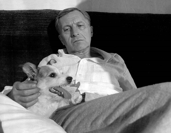 Иллюстрация к книге — Лопухи и лебеда [i_047.jpg]