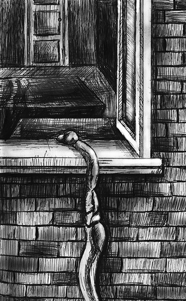 Иллюстрация к книге — Любовь и виски [i_005.jpg]