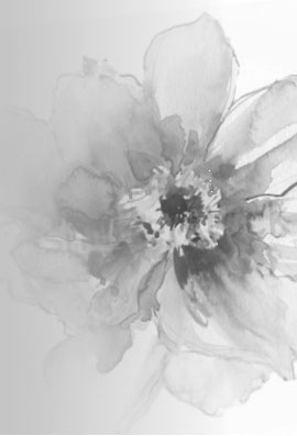 Иллюстрация к книге — Главная книга практик и упражнений для женщин [i_001.jpg]