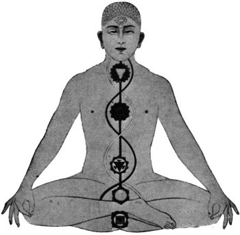 Иллюстрация к книге — Кундалини-йога. Змеиная сила [i_001.jpg]