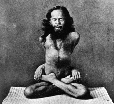 Иллюстрация к книге — Кундалини-йога. Змеиная сила [i_011.jpg]