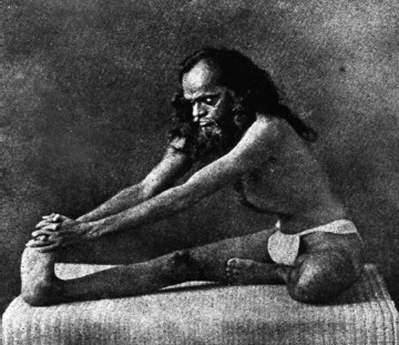 Иллюстрация к книге — Кундалини-йога. Змеиная сила [i_013.jpg]