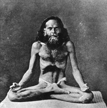 Иллюстрация к книге — Кундалини-йога. Змеиная сила [i_016.jpg]