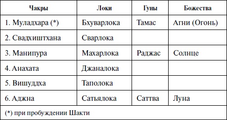 Иллюстрация к книге — Кундалини-йога. Змеиная сила [i_017.jpg]