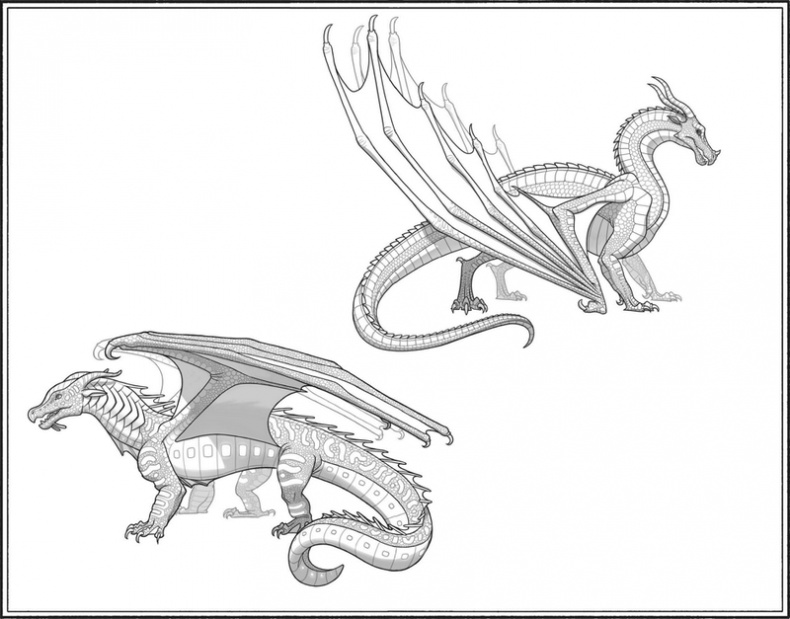 Иллюстрация к книге — Пророчество о драконятах [i_003.jpg]