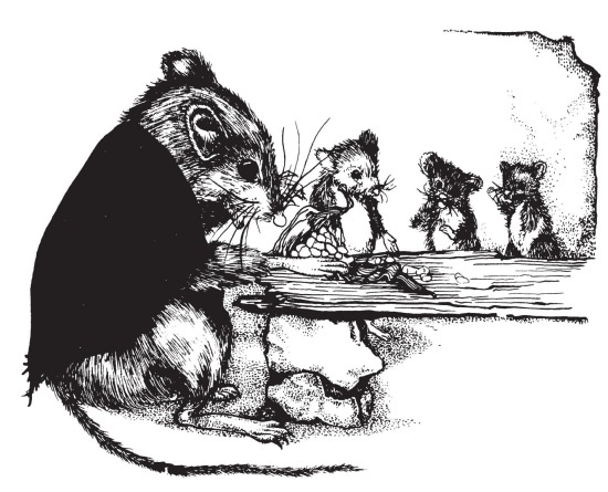 Иллюстрация к книге — Миссис Фрисби и крысы НИПЗ [i_002.jpg]