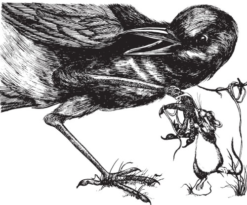 Иллюстрация к книге — Миссис Фрисби и крысы НИПЗ [i_004.jpg]