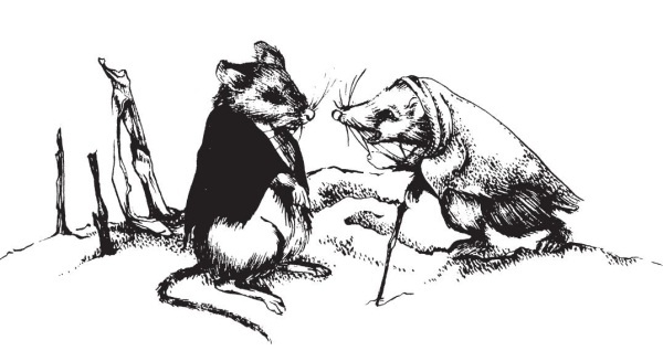 Иллюстрация к книге — Миссис Фрисби и крысы НИПЗ [i_005.jpg]