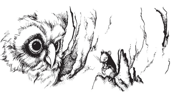 Иллюстрация к книге — Миссис Фрисби и крысы НИПЗ [i_009.jpg]