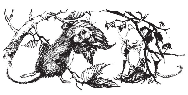 Иллюстрация к книге — Миссис Фрисби и крысы НИПЗ [i_011.jpg]