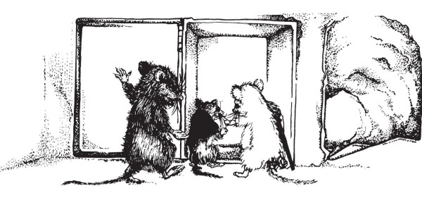 Иллюстрация к книге — Миссис Фрисби и крысы НИПЗ [i_012.jpg]