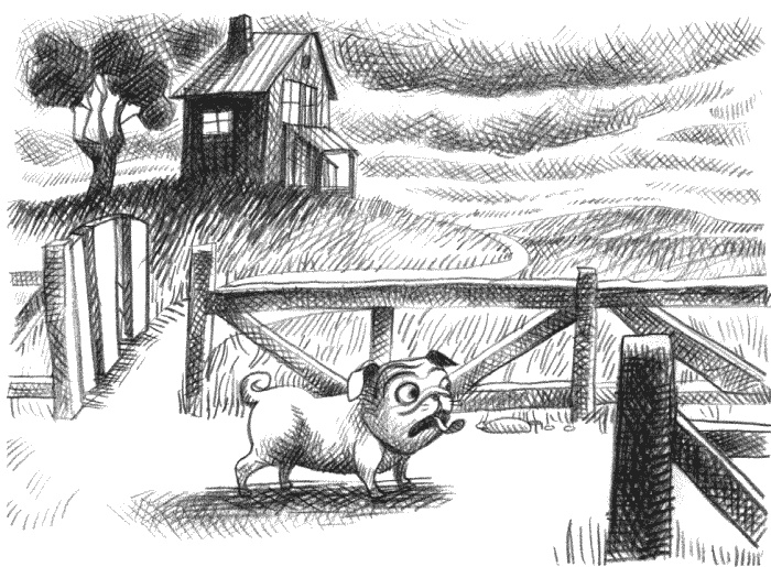 Иллюстрация к книге — Девочка, которая воспарила над Волшебной Страной и раздвоила Луну [_330.jpg]