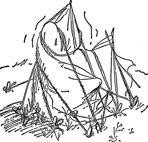 Иллюстрация к книге — Медвежонок Паддингтон за границей [i_023.jpg]