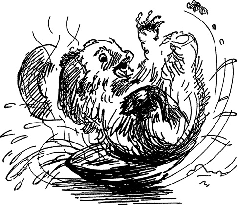 Иллюстрация к книге — Медвежонок по имени Паддингтон [i_003.jpg]